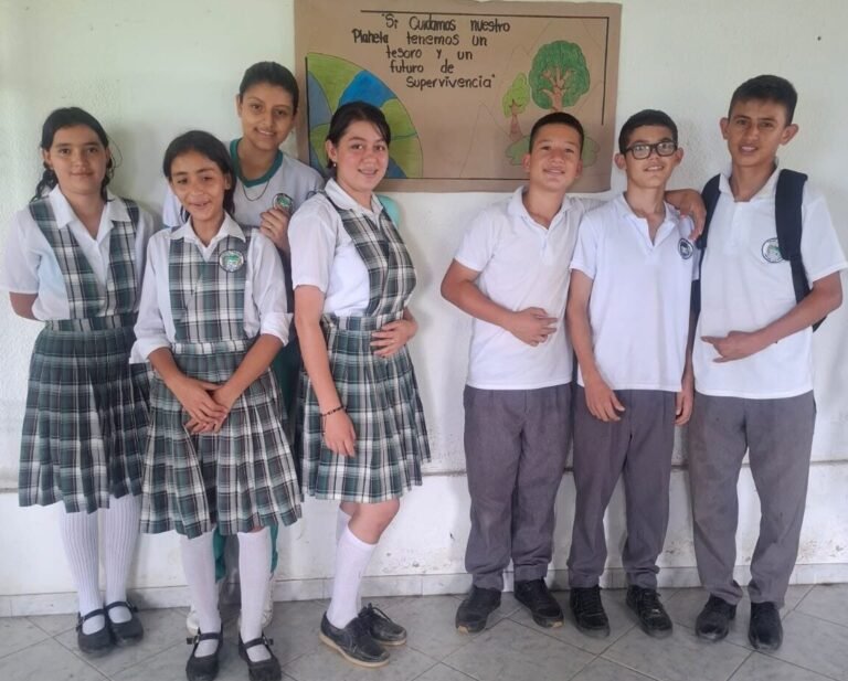 Inicio colegio miralindo