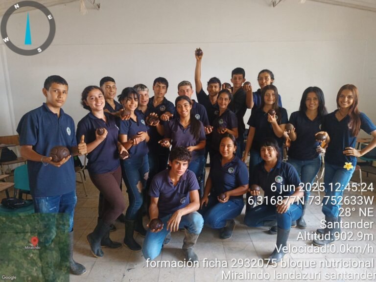Inicio imagen1