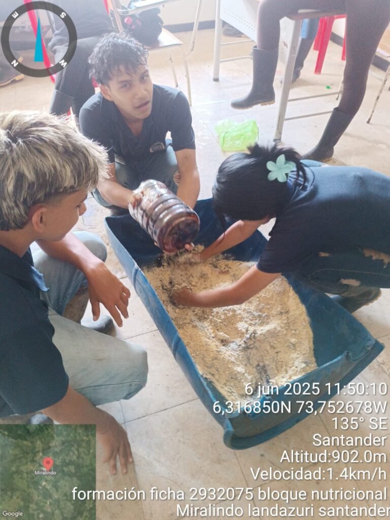 Galeria imagen5