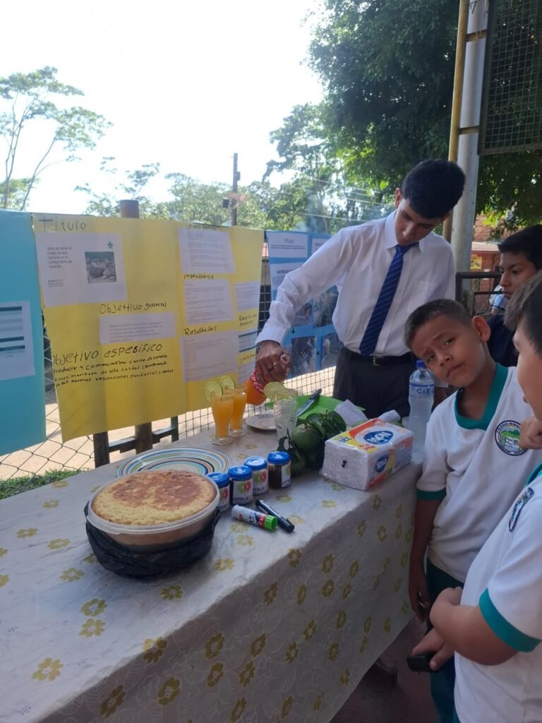 proyecto de la carne de conejo