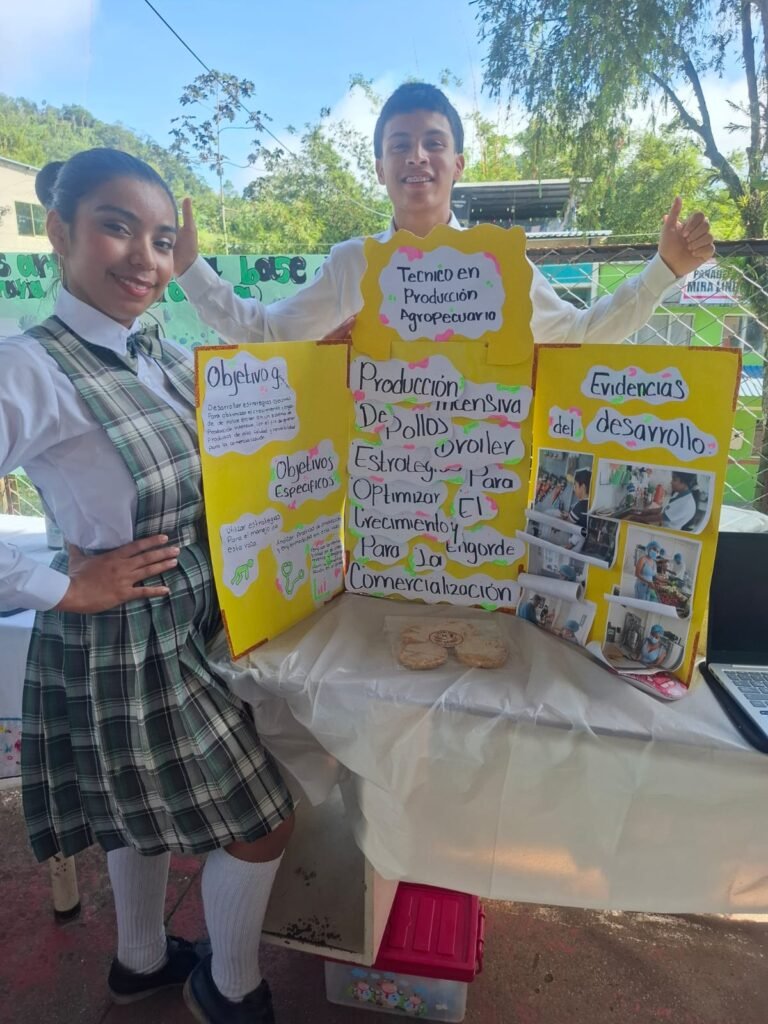 proyecto de pollos de engorde