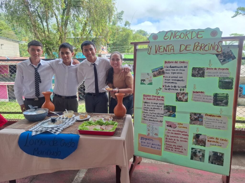 proyecto porcinos grado11