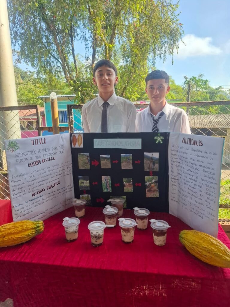 proyecto vivero cacao3